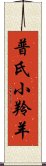 普氏小羚羊 Scroll