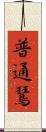 普通鵟 Scroll