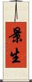景生 Scroll