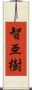 智亜樹 Scroll