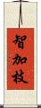 智加枝 Scroll