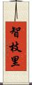 智枝里 Scroll