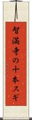智満寺の十本スギ Scroll