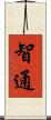 智通 Scroll