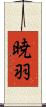 暁羽 Scroll