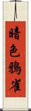 暗色鴉雀 Scroll