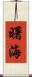 曙海 Scroll