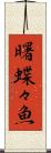 曙蝶々魚 Scroll