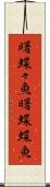 曙蝶々魚 Scroll