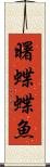 曙蝶蝶魚 Scroll