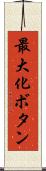 最大化ボタン Scroll