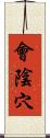 會陰穴 Scroll