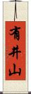 有井山 Scroll