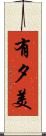 有夕美 Scroll