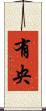 有央 Scroll