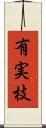 有実枝 Scroll