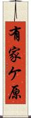 有家ケ原 Scroll