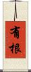 有根 Scroll
