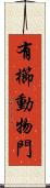 有櫛動物門 Scroll