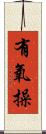 有氧操 Scroll