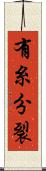 有糸分裂 Scroll
