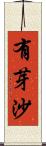 有芽沙 Scroll