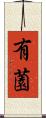 有薗 Scroll