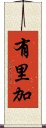 有里加 Scroll