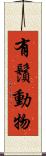有鬚動物 Scroll