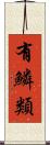 有鱗類 Scroll