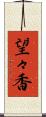望々香 Scroll
