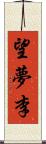 望夢李 Scroll