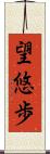 望悠歩 Scroll