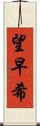 望早希 Scroll
