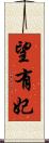 望有妃 Scroll