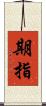 期指 Scroll