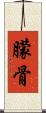 朦骨 Scroll