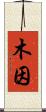 木因 Scroll