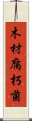 木材腐朽菌 Scroll