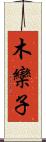 木欒子 Scroll