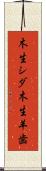 木生シダ Scroll
