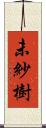 未紗樹 Scroll