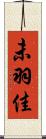 未羽佳 Scroll