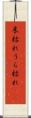 末枯れ Scroll