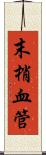 末梢血管 Scroll