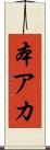 本アカ Scroll