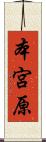 本宮原 Scroll