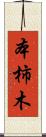 本柿木 Scroll