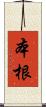 本根 Scroll