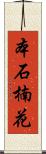 本石楠花 Scroll